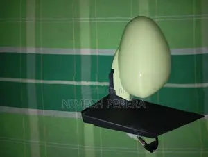 Right Side Mirror