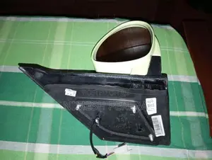 Right Side Mirror