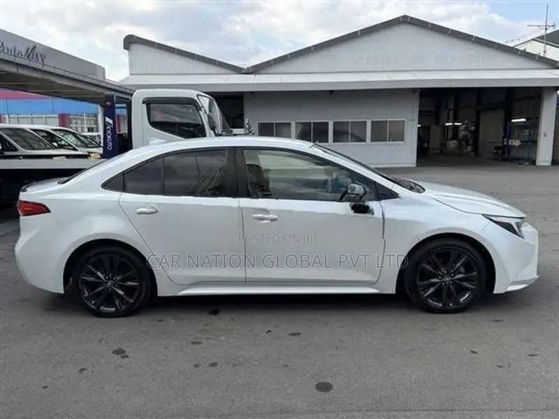 Toyota Corolla WxB 2024