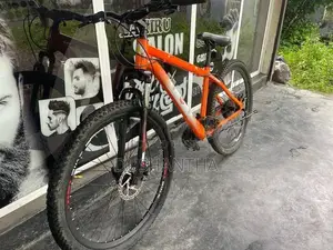 DSI Mountain Bike