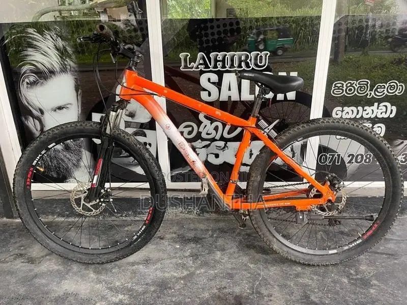 DSI Mountain Bike