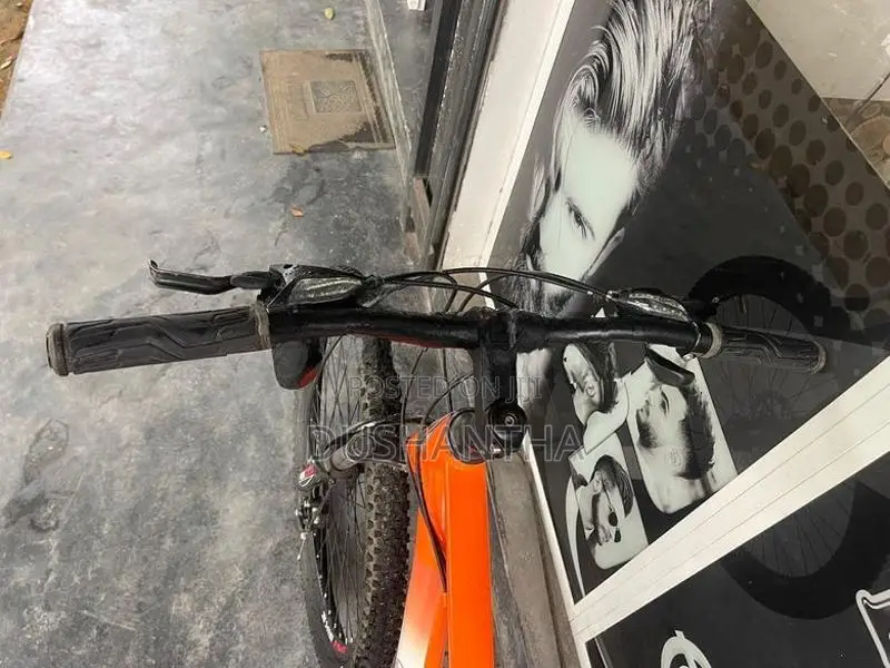 DSI Mountain Bike