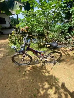 lumala