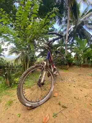 lumala
