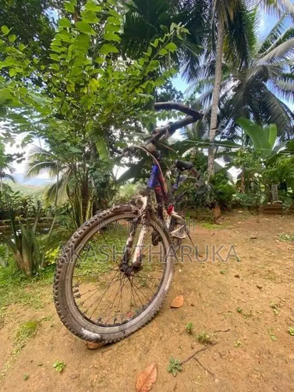 lumala