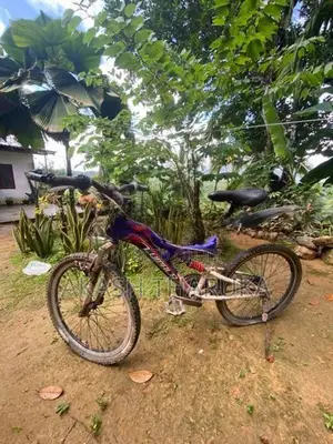 lumala