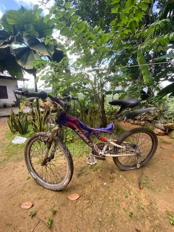 lumala