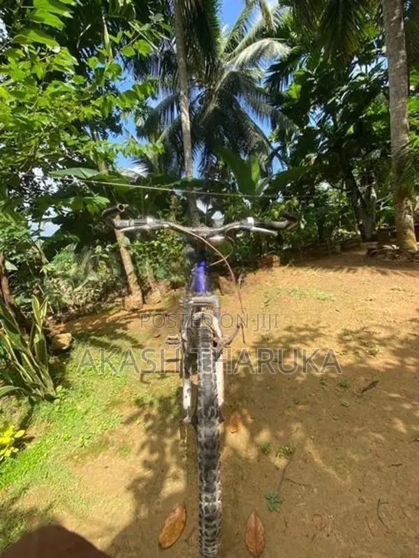 lumala