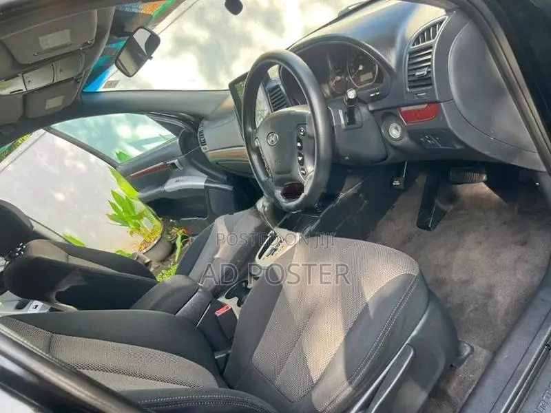 Hyundai Santa Fe 2009