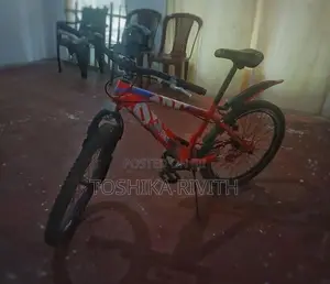 Tomahawk Bycicle