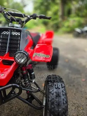 Yamaha Atv Beach Bike 2009