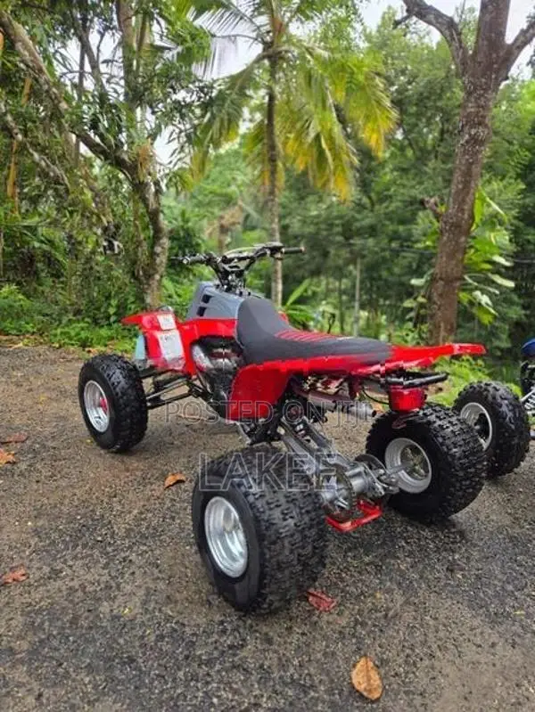 Yamaha Atv Beach Bike 2009
