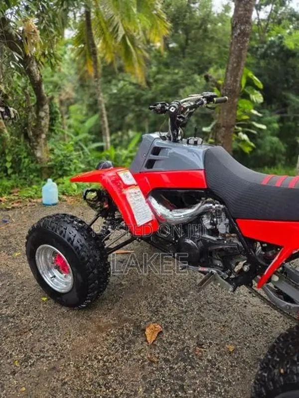 Yamaha Atv Beach Bike 2009