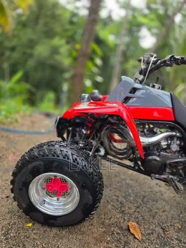 Yamaha Atv Beach Bike 2009