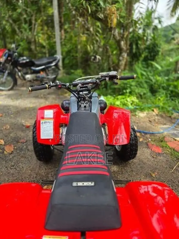 Yamaha Atv Beach Bike 2009
