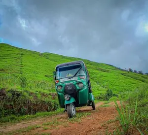 Bajaj RE 2014