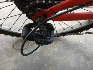 Mountain bike