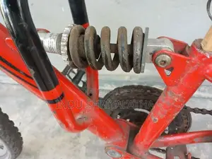 Mountain bike