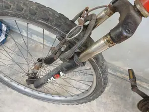Mountain bike