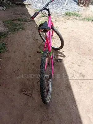බයිසිකල්