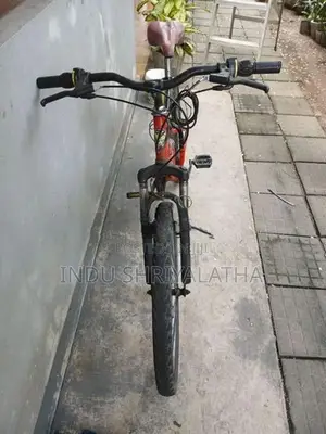 Mountain bike