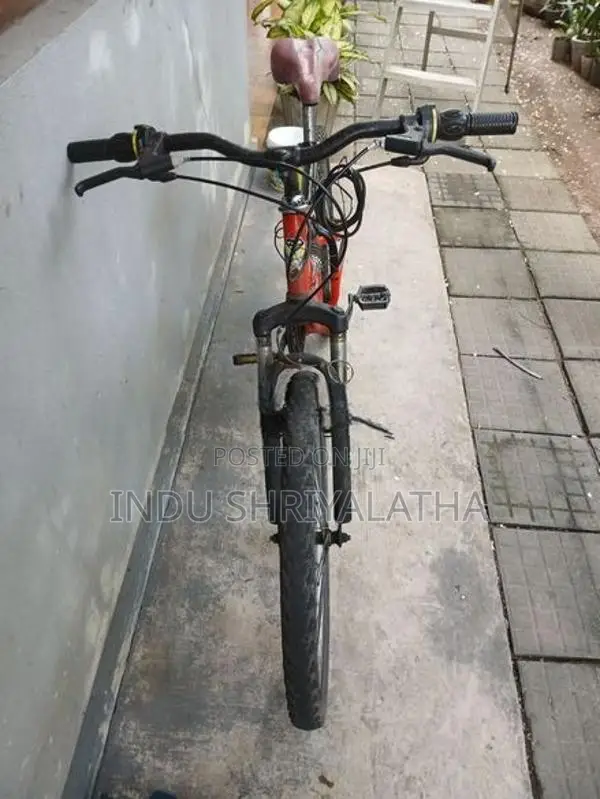 Mountain bike