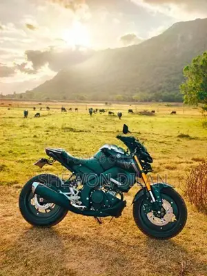 Yamaha MT 15 - V2 ( 2026 )