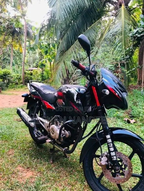 Bajaj Pulsar 150 2010