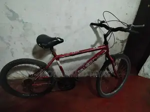 DSI Bicycle