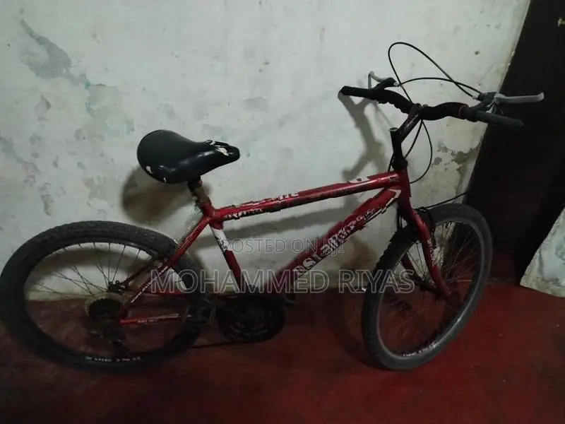 DSI Bicycle