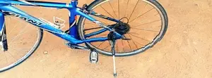 JAPAN CYCLE