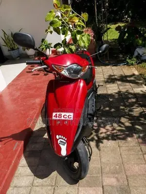 Honda 48CC 2021