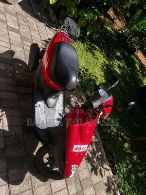 Honda 48CC 2021
