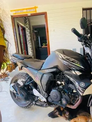 Yamaha FZ S 2019