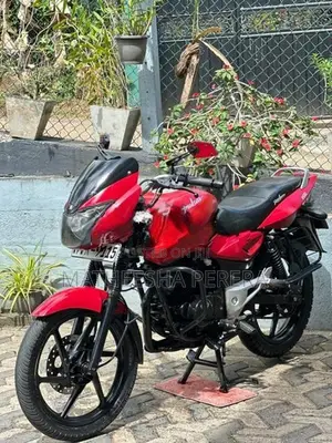 Bajaj Pulsar 150 2010