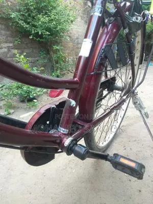 Latis Bike