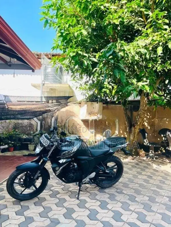 Yamaha FZ S 2019