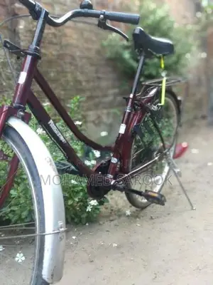Latis Bike