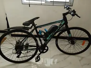Electric Bicycle