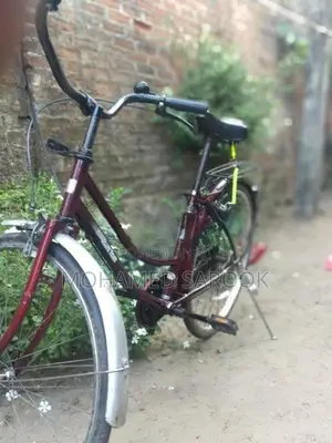 Latis Bike