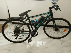 Electric Bicycle