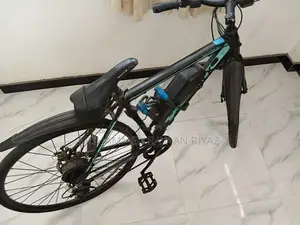 Electric Bicycle
