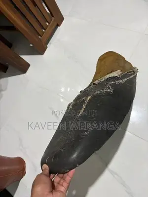 Motorbike Seat
