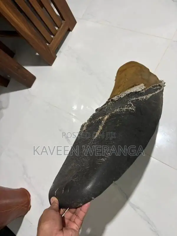 Motorbike Seat