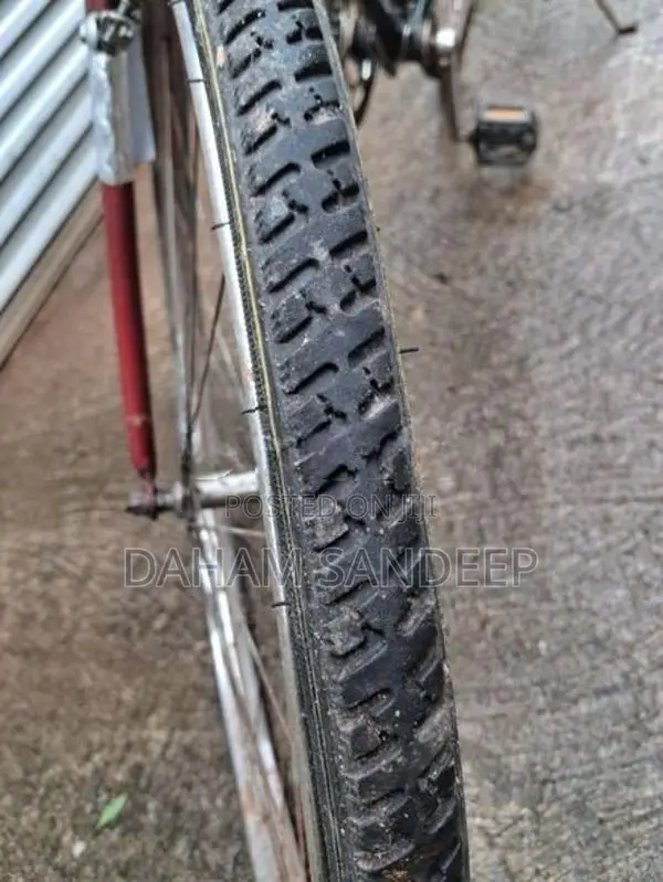Win Star Special Standard Bicycle