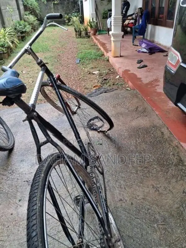 Win Star Special Standard Bicycle