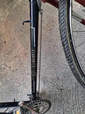 Win Star Special Standard Bicycle