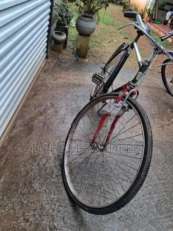Win Star Special Standard Bicycle