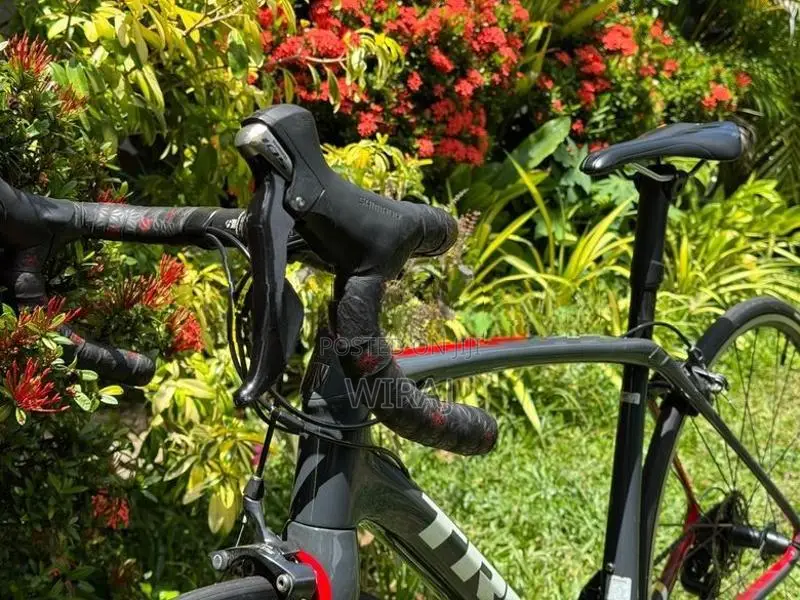 Trek Domane SL 5 Full Carbon