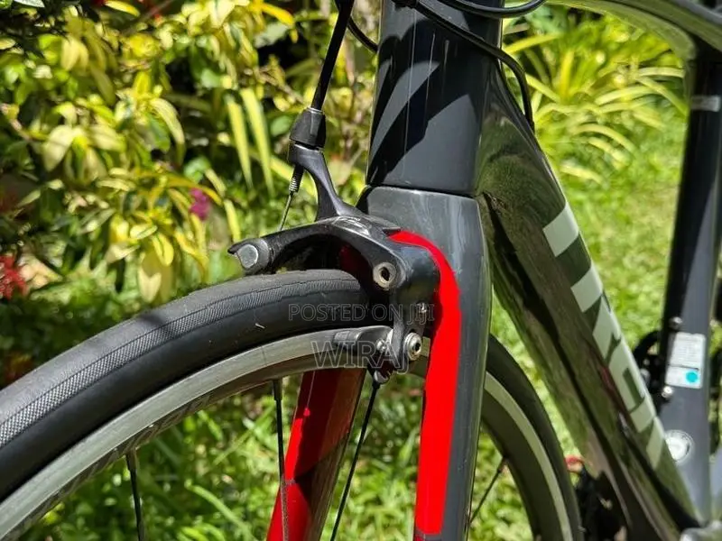 Trek Domane SL 5 Full Carbon